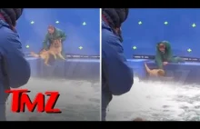 Jak kręcono film "Był sobie pies" - Przerażony pies wrzucony do wzburzonej wody