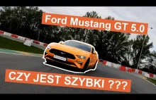 Ford Mustang 5.0 GT - Czy jest szybki?