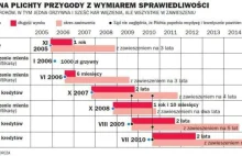 Polskie prawo jest bardzo tolerancyjne dla wielkich oszustów