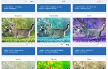 CSS Filter Effects