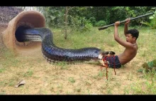 Traditional Biggest Python Trap Using Deep Hole...