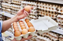 Jaja skażone salmonellą. GIS ostrzega | Z kraju