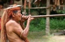 Prawdy i mity o zaludnieniu Amazonii