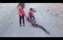 Dziewczynka i jej brat bawią się z wężem!