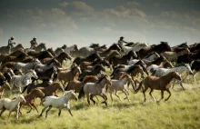 Konie na zdjęciach fotografów National Geographic. Nic piękniejszego dziś...