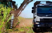 Ciężarówka Volvo z autopilotem pomaga przy produkcji trzciny cukrowej