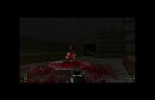 Doom Brutal Bloodsport gameplay