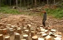Człowiek demolka jednocześnie dwoma siekierami rąbie drewno.