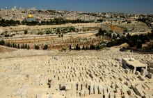 Jerozolima. Najbardziej skłócone miasto świata