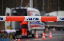 Policja szuka świadków śmiertelnego potrącenia pieszego na „siódemce”