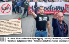 Nazistowskie gesty podczas antyimigranckiego marszu