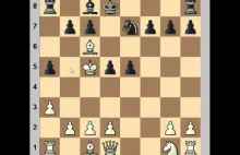 The greatest draw in history of chess!
