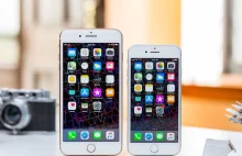 Zakaz sprzedaży iPhone'ów w Niemczech