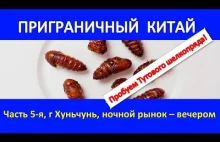 Едим тутовых шелкопрядов - Хуньчунь - Ночной рынок, часть 5-я