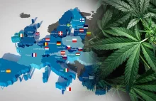 Europejski rynek marihuany - prognozy na najbliższe 9 lat
