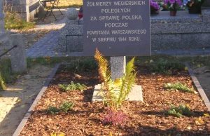 Polak-Węgier, dwa bratanki, czyli sytuacja Polski w 1939 a sprawa Węgierska