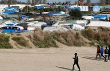 Afgańska tłumaczka zgwałcona w "dżungli' w Calais