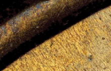 Monety pod mikroskopem – nieznana strona grosza