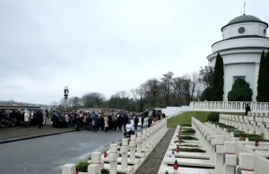 Ktoś próbował uszkodzić płyty zasłaniające posągi lwów na Cmentarzu Orląt