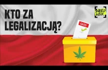 Kto za legalizacją i depenalizacją marihuany?