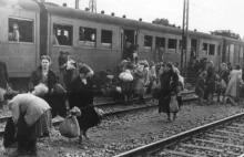 Transporty pruszkowskie do Auschwitz