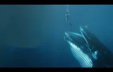 Co się stanie, gdy połknie Cię wieloryb