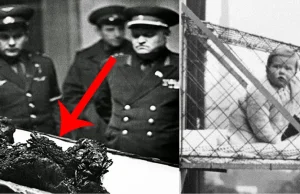 20 historycznych fotografii, które zmieniają sposób postrzegania świata!...