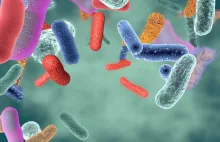 Mikrobiota jelitowa: jak skutecznie wpłynąć na florę bakteryjną jelit