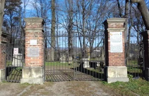 Stary cmentarz w Krośnie #1