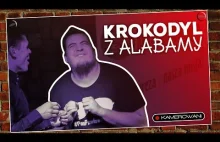 Krokodyl z Alabamy :D