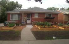 Kobieta zrobiła sobie przed domem ogródek warzywny zamiast trawnika - ma kłopoty