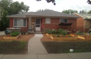 Kobieta zrobiła sobie przed domem ogródek warzywny zamiast trawnika - ma kłopoty