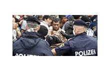 Niemiecka policja kłamie ws. przestępczości imigrantów « Wolne Media