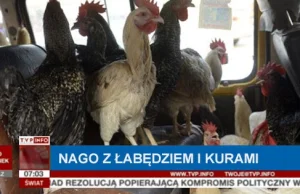 Jechał nago wioząc skradzionego łabędzia i kury. 31-letni Krzysztof Nowak...