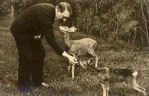 Dlaczego Hitler został wegetarianinem?