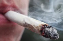 Link between Adolescent Pot Smoking and Psychosis Strengthens