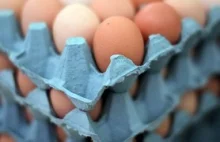 Duńczycy rezygnują z jaj od kur z chowu klatkowego