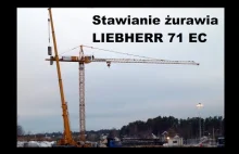 Jak się stawia żurawia