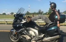 Znany rosyjski bloger motocyklowy zginął w wypadku