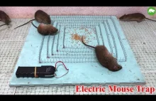Sprytna pułapka na szczury i inne gryzonie