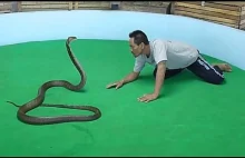 Pokaz węży