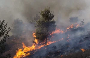 Pożary w Chorwacji rozprzestrzeniają się cały czas!