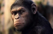 Bardzo ciekawa recenzja Geneza Planety Małp