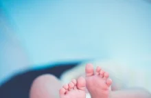 Żywy noworodek znaleziony na działkach w Warszawie