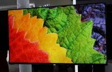 Telewizor OLED od LG już w maju za 7900 USD