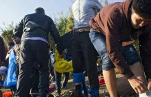 Kolejni pogranicznicy polecieli pomagać Węgrom w kryzysie imigracyjnym