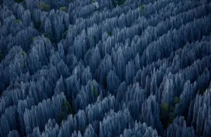 Tsingy de Bemaraha - piękny masyw na Madagaskarze