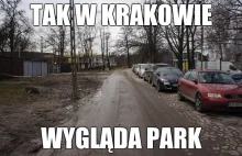 Walka o park - mieszkanie w Krakowie jak życie w betoniarce