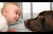 Cute Dog Trying to Talk to Baby...