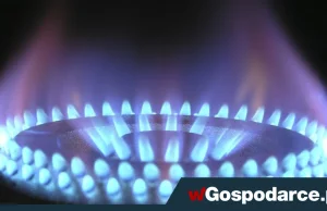 Ukraina dostanie gaz z Rumunii. W Gazpromie żałoba